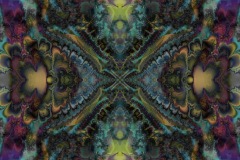 An ornate psychedelic digital fractal painting entitled Enter The Void