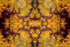 An ornate psychedelic digital fractal painting entitled Spider Lace