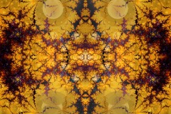 An ornate psychedelic digital fractal painting entitled Spider Lace