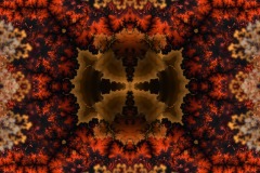 Ornate Art Nouveau inspired fractal art - Autumn Leaves